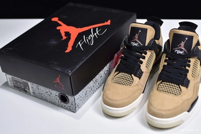 Chep Onekick 4 Jordan Mushroom Air AQ9129-200 0701